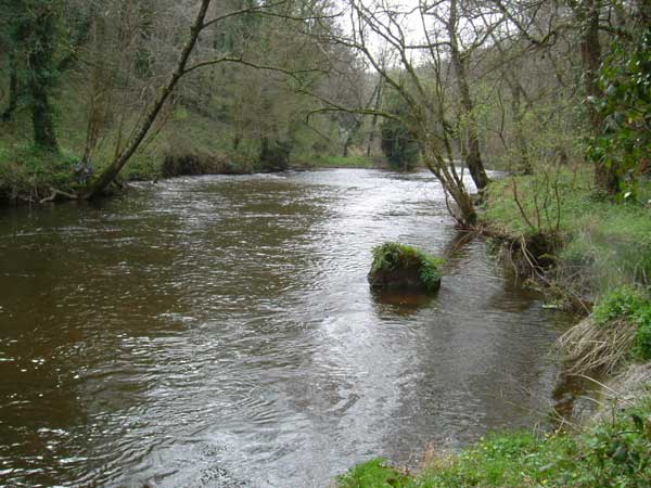 Leguer, un magnifique coin de pêche et un cours d'eau riche en truites et saumons